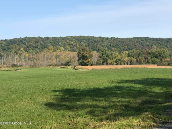 $499,000 | L1 Rathbunville Lane, Comstock, NY 12821