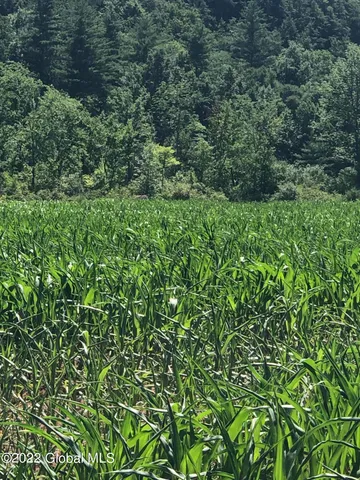 $499,000 | L1 Rathbunville Lane, Comstock, NY 12821