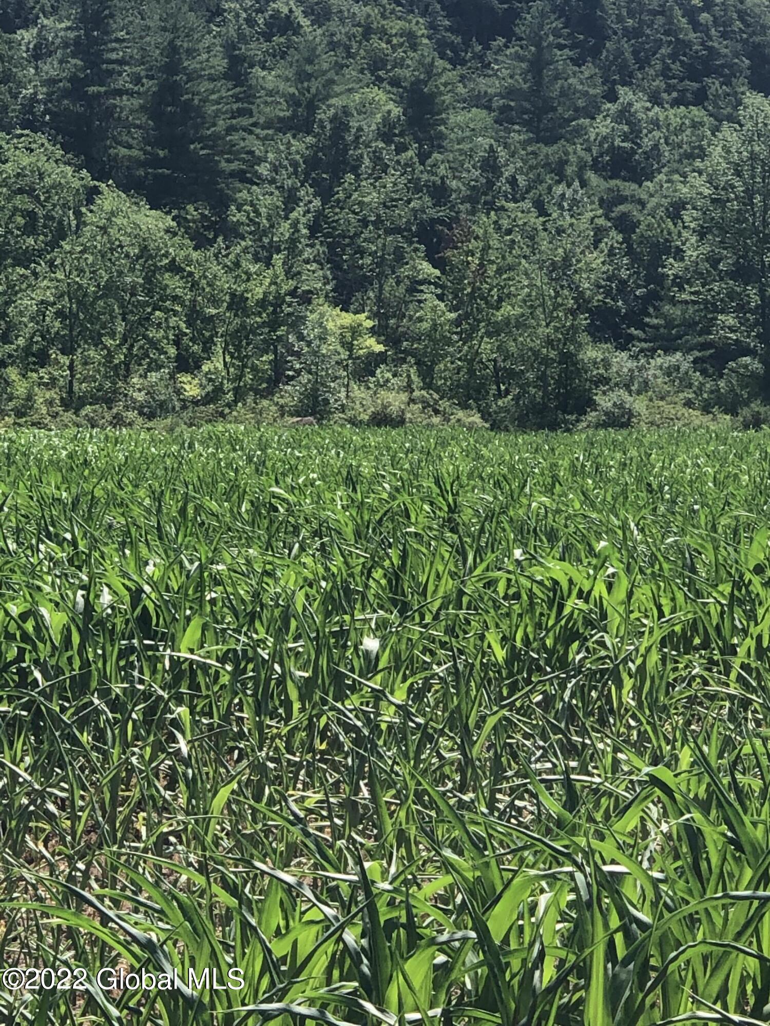 L1 Rathbunville Lane Comstock, NY 12821 - Photo 6 of 18 IMG_4579