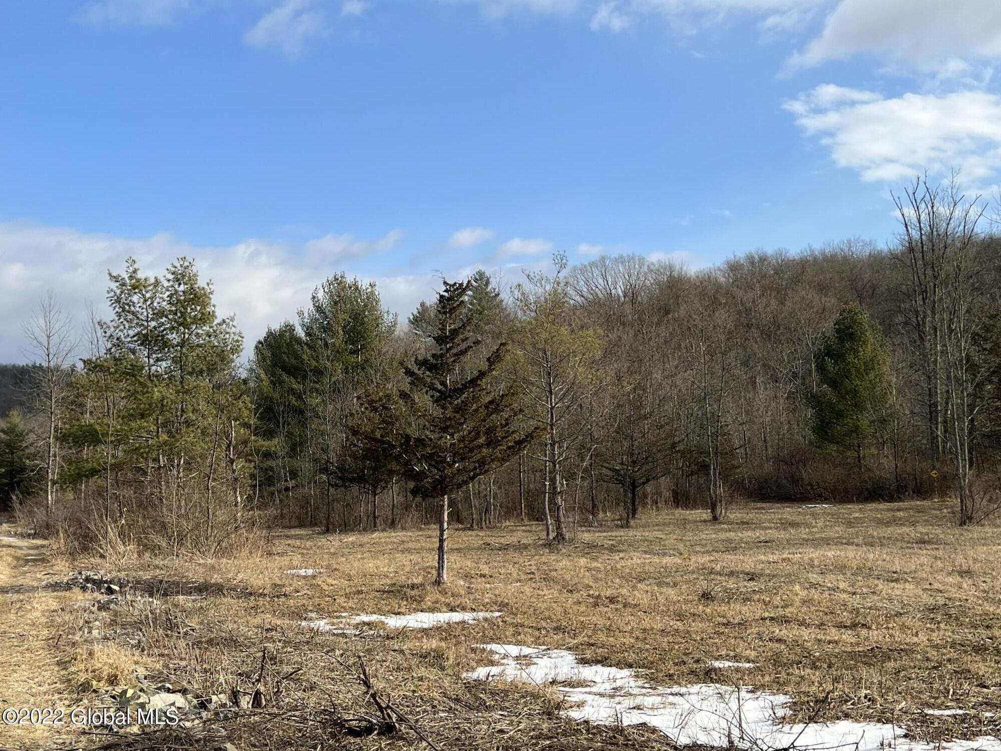 L1 Rathbunville Lane Comstock, NY 12821 - Photo 10 of 18 IMG_0383