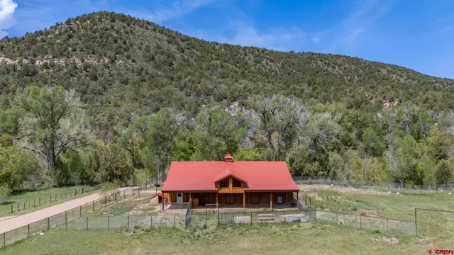 a yard with lots of trees