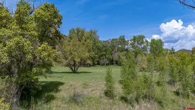 a view of a house with backyard and garden