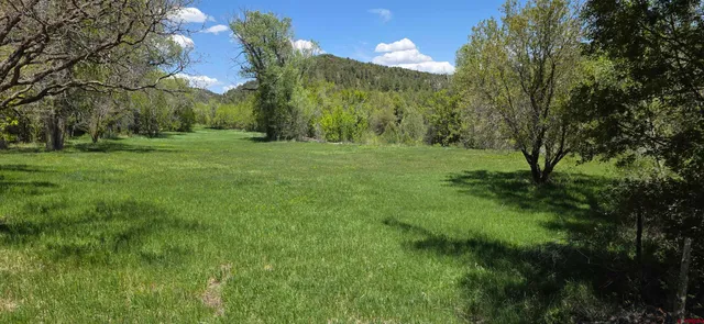 $1,685,000 | 206 Shasta Trail, Hesperus, CO 81326