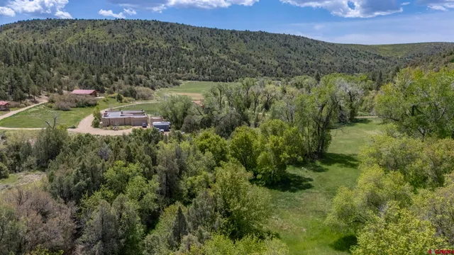 a view of a lush green forest with trees and houses