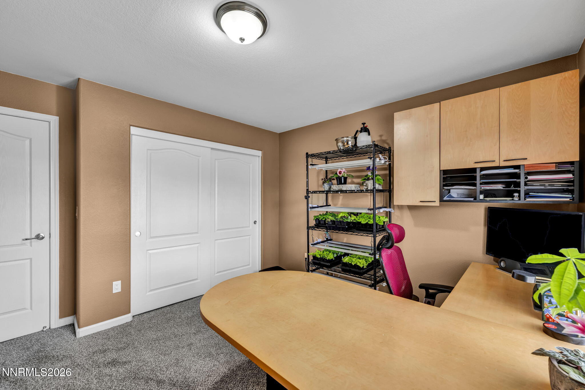 148 Snake Road Dayton, NV 89403 - Photo 34 of 57 a bedroom with a bed and a book shelf