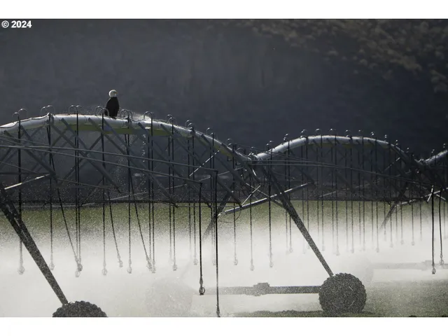 $2,800,000 | 60664 Anderson Valley Road, Princeton, OR 97721