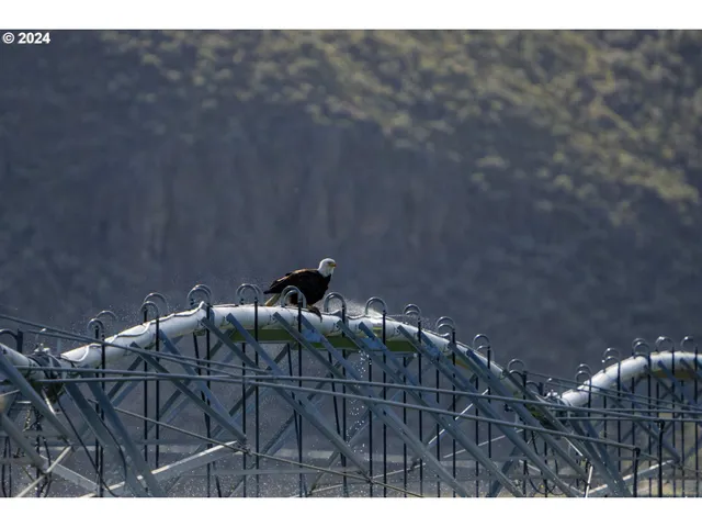 $2,800,000 | 60664 Anderson Valley Road, Princeton, OR 97721