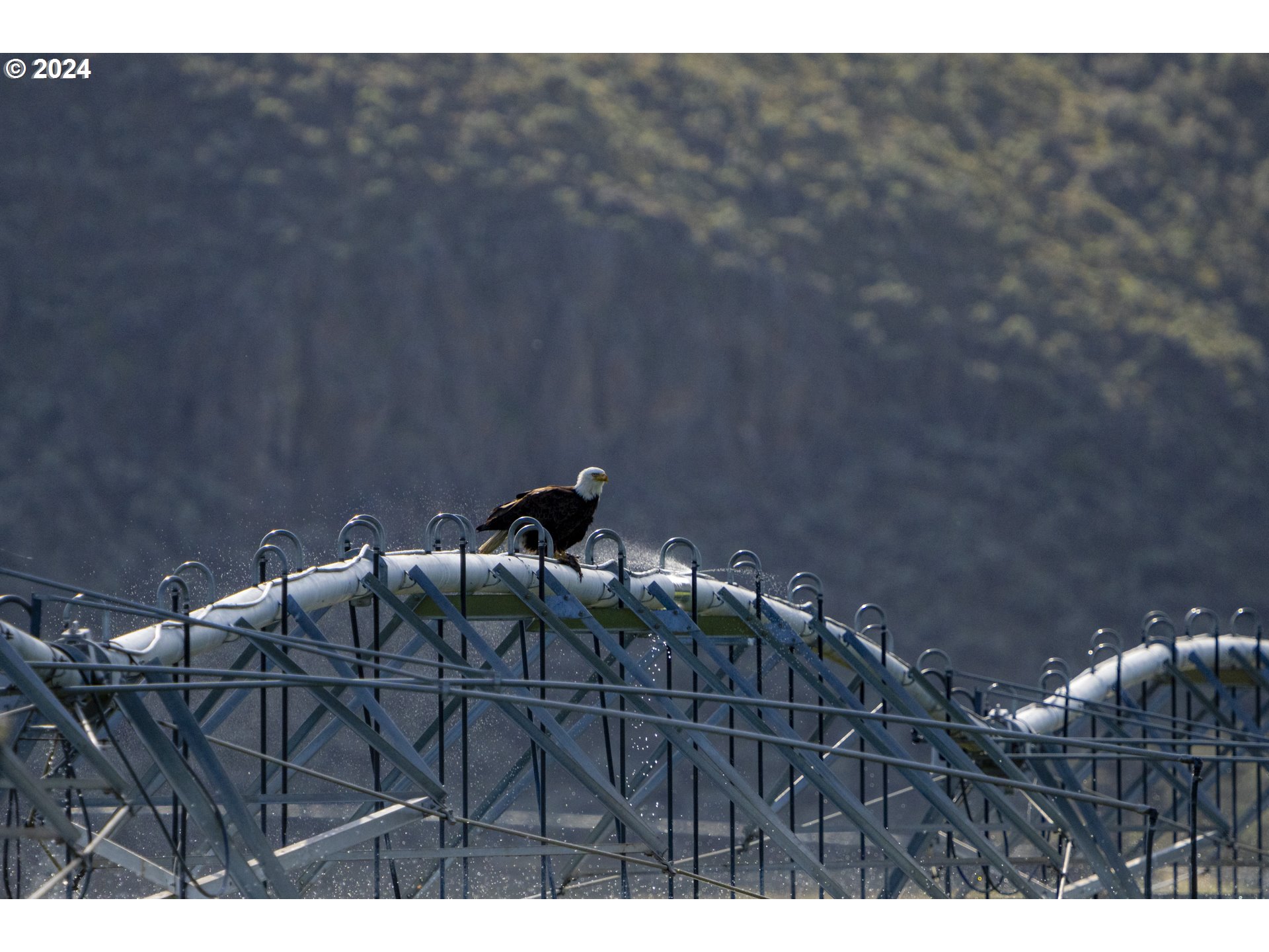 60664 Anderson Valley Road Princeton, OR 97721 - Photo 47 of 47