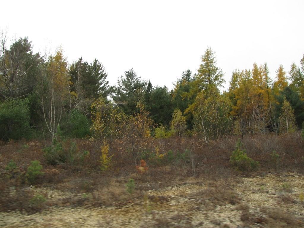 X Pretty Pond Road Wesley, ME 04686 - Photo 3 of 3 Photo