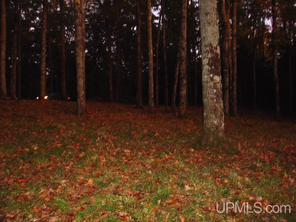 Off East Hawk Lake Road, Unit 3 Marenisco, MI 49947 - Photo 7 of 18