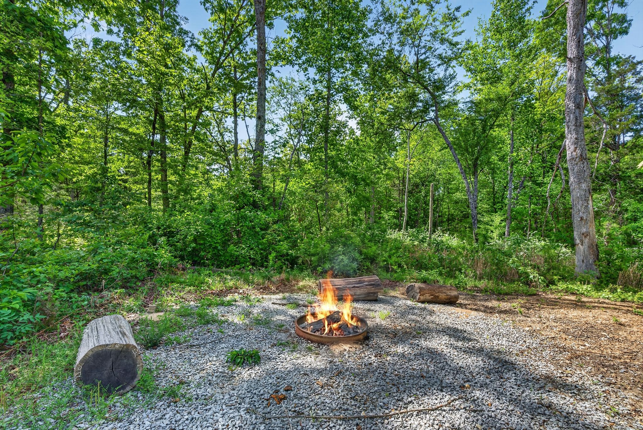 1030 Johnson Hollow Road McEwen, TN 37101 - Photo 17 of 85
