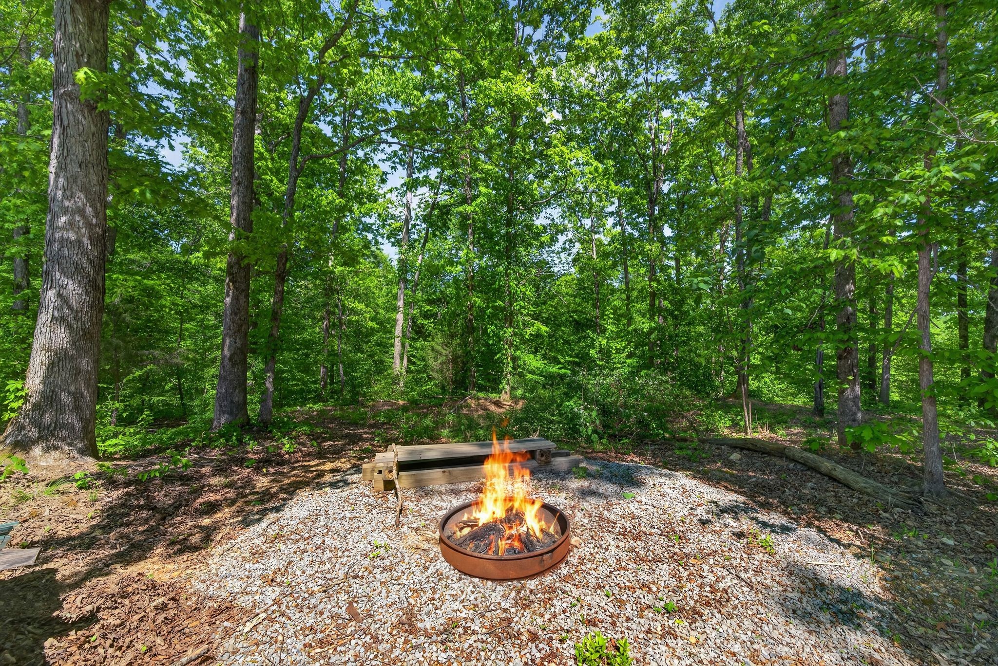 1030 Johnson Hollow Road McEwen, TN 37101 - Photo 49 of 85