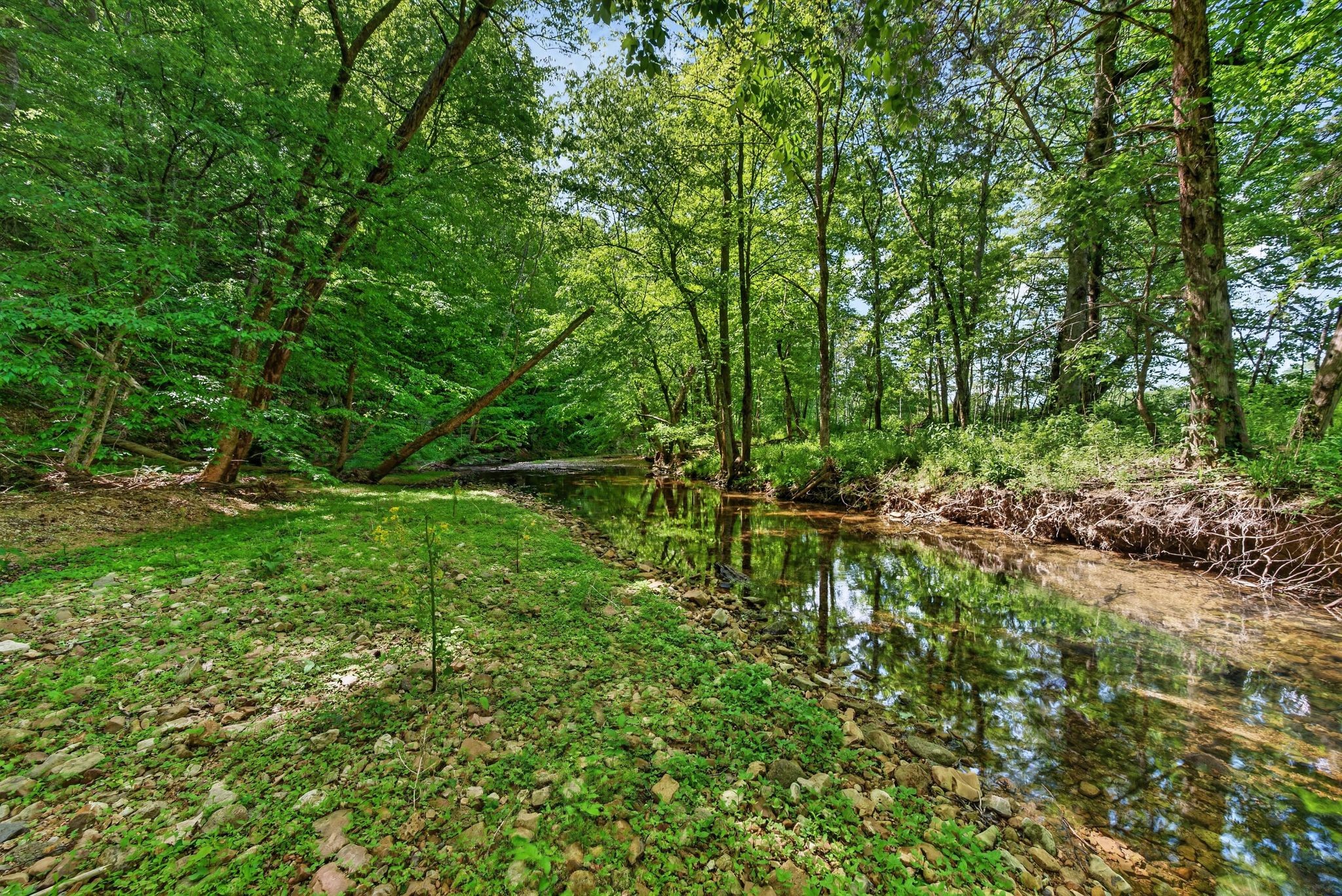 1030 Johnson Hollow Road McEwen, TN 37101 - Photo 50 of 85