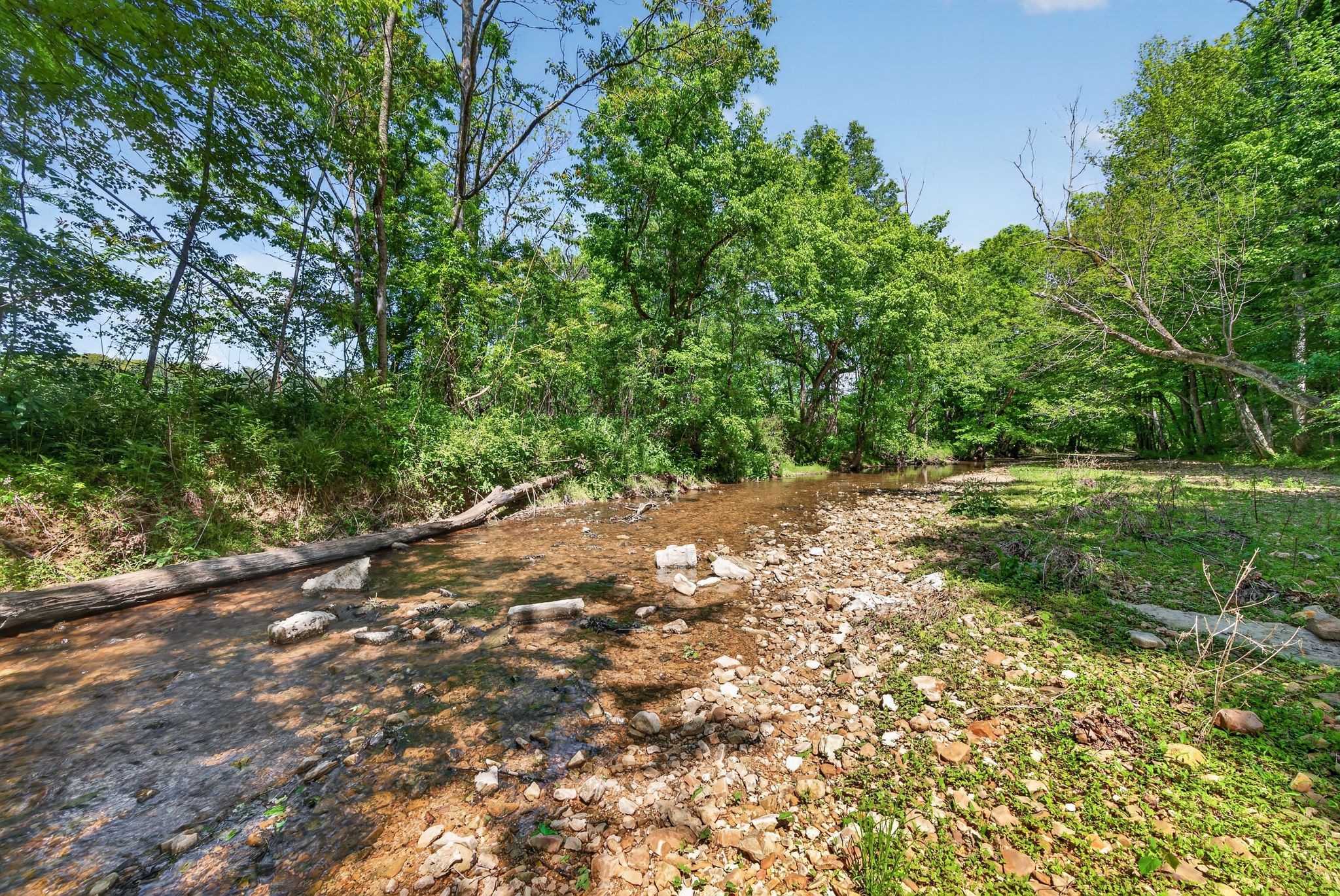 1030 Johnson Hollow Road McEwen, TN 37101 - Photo 51 of 85