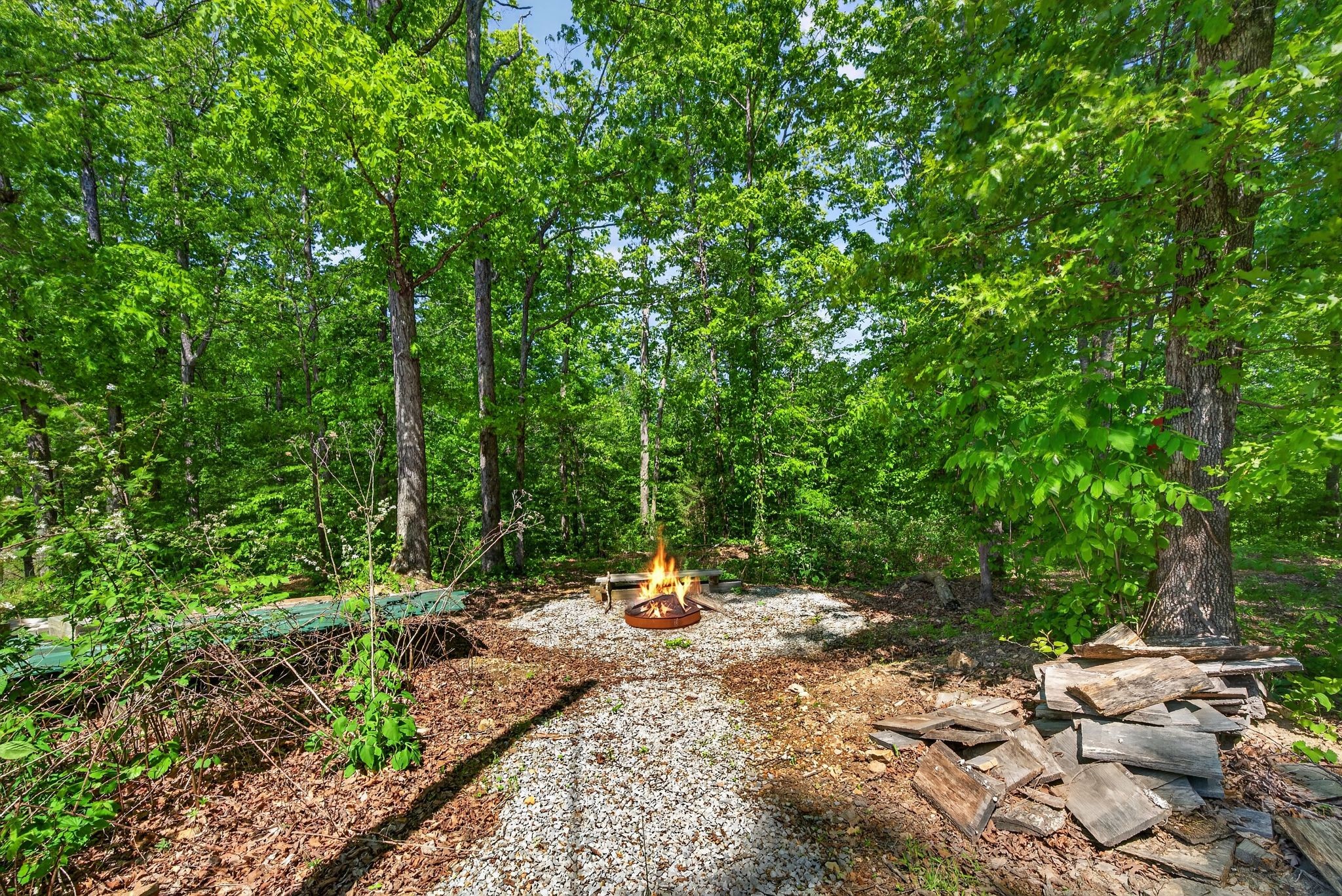 1030 Johnson Hollow Road McEwen, TN 37101 - Photo 52 of 85