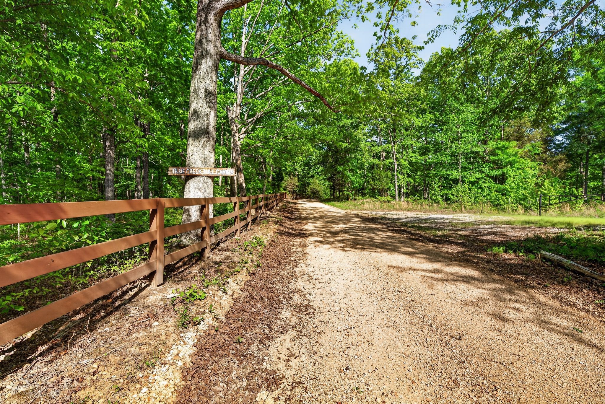 1030 Johnson Hollow Road McEwen, TN 37101 - Photo 66 of 85