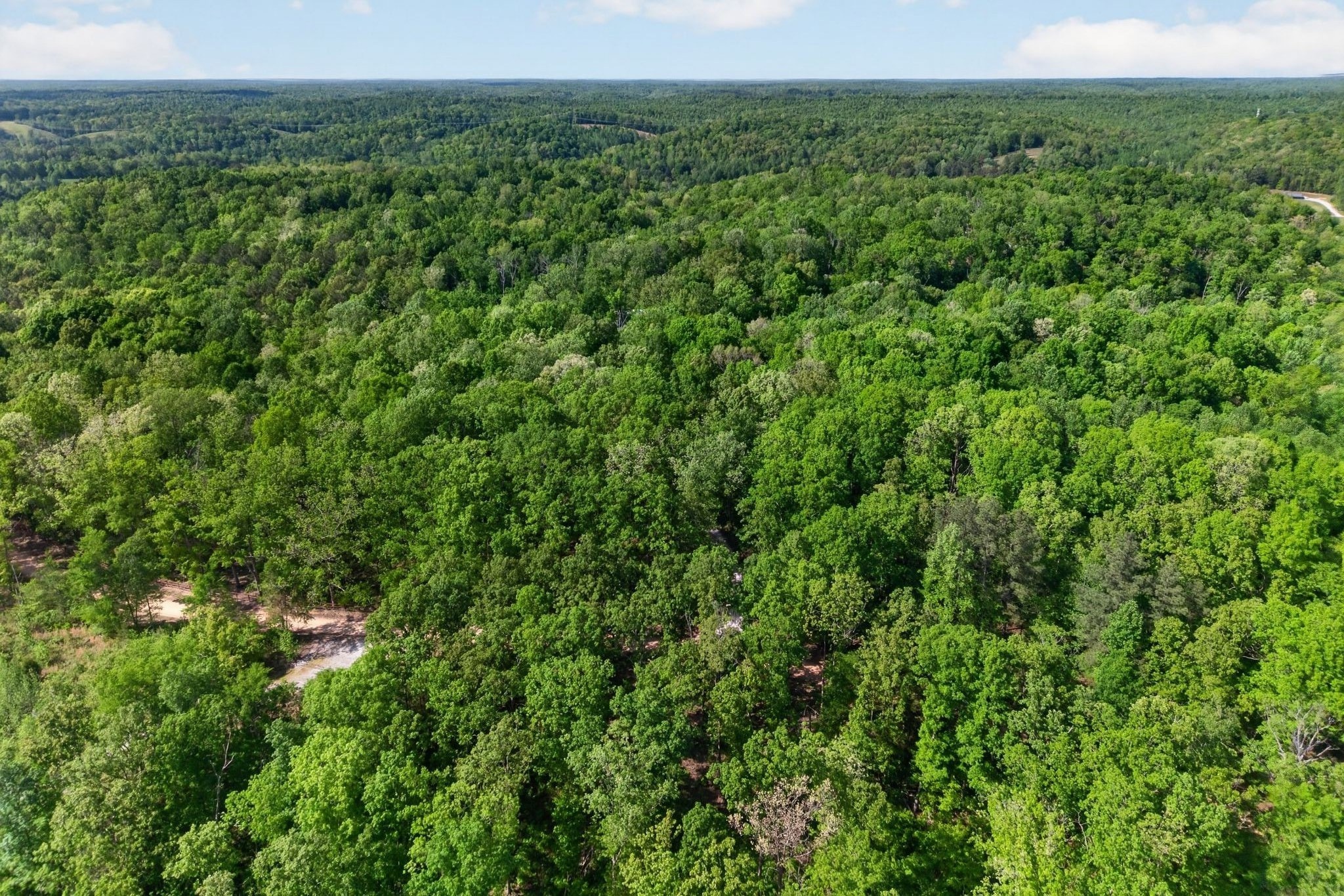 1030 Johnson Hollow Road McEwen, TN 37101 - Photo 70 of 85