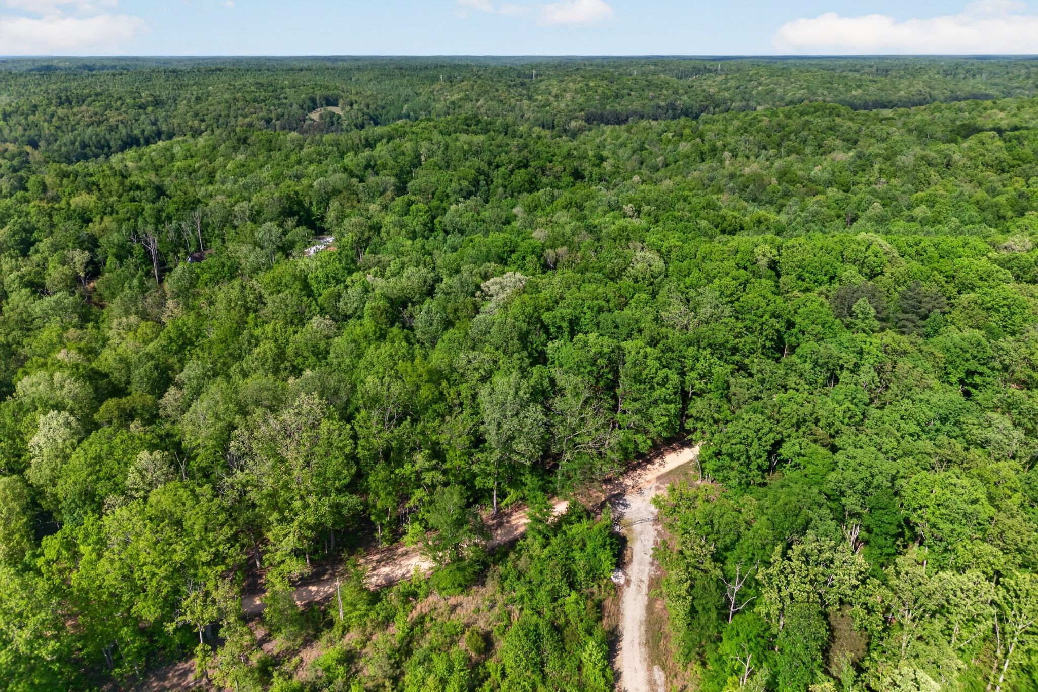 1030 Johnson Hollow Road McEwen, TN 37101 - Photo 71 of 85