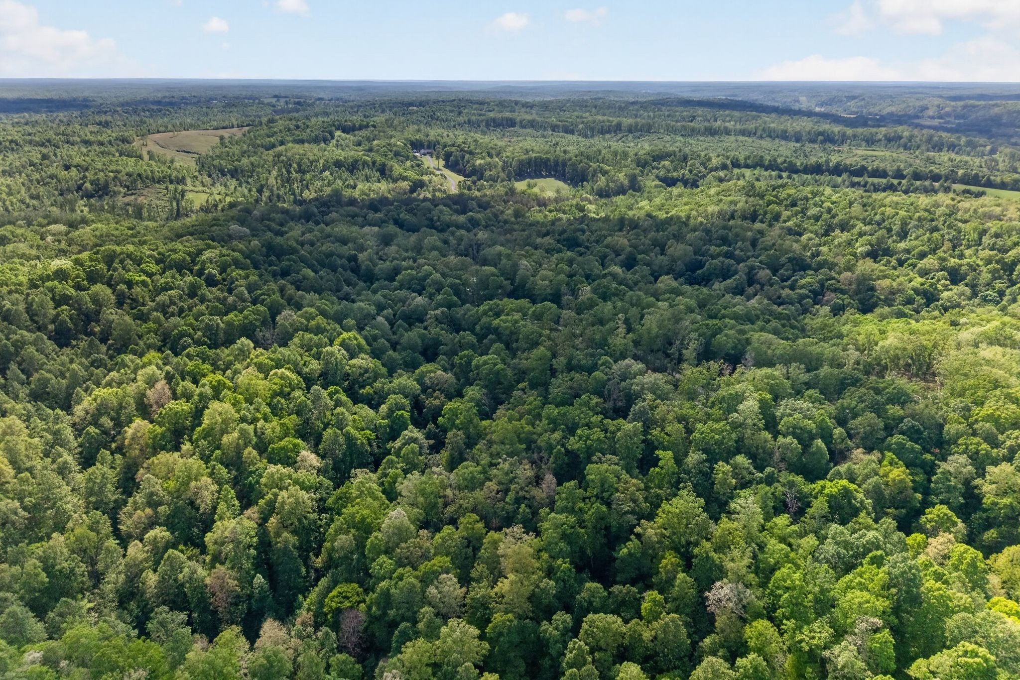 1030 Johnson Hollow Road McEwen, TN 37101 - Photo 73 of 85