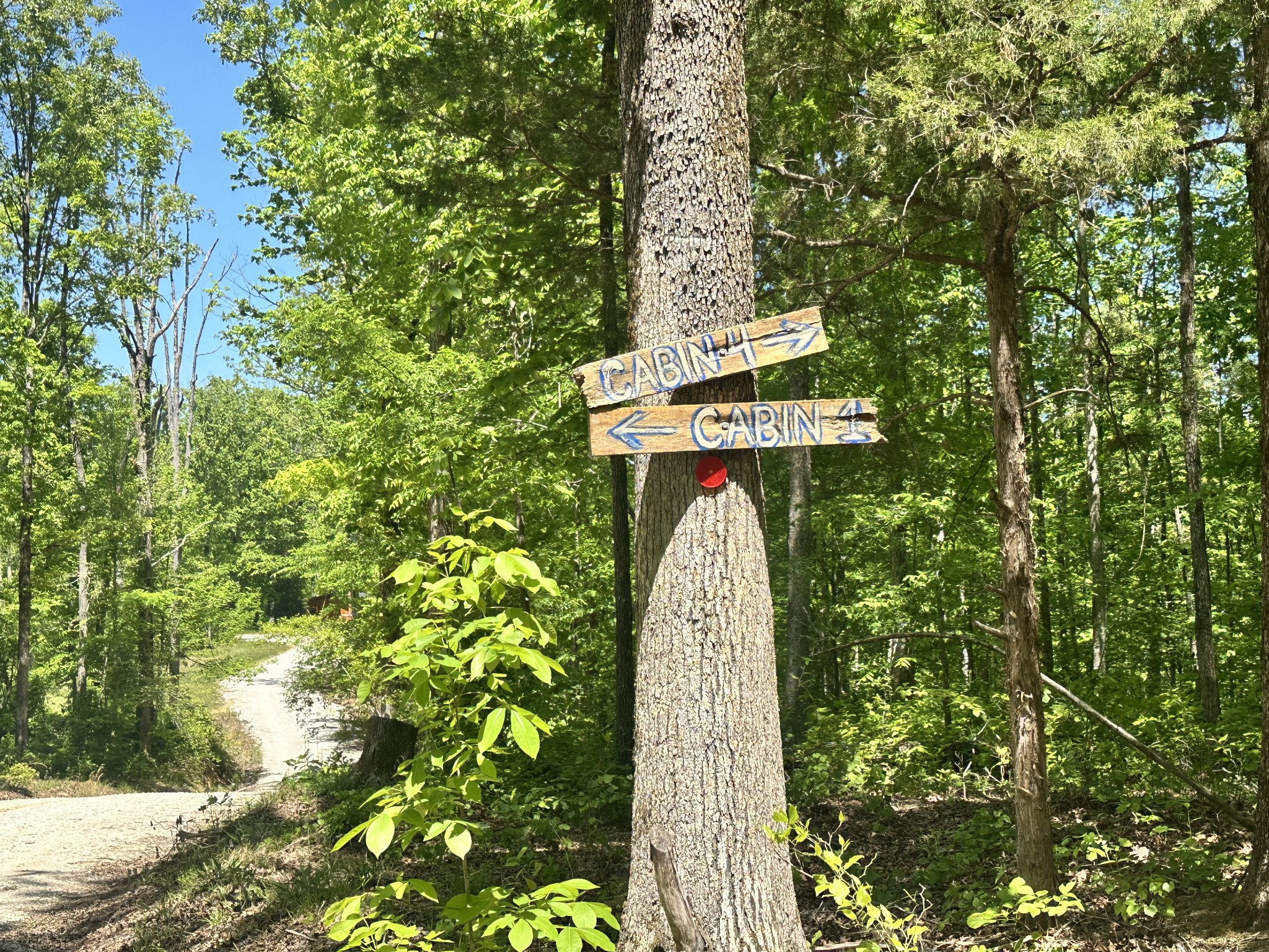 1030 Johnson Hollow Road McEwen, TN 37101 - Photo 76 of 85