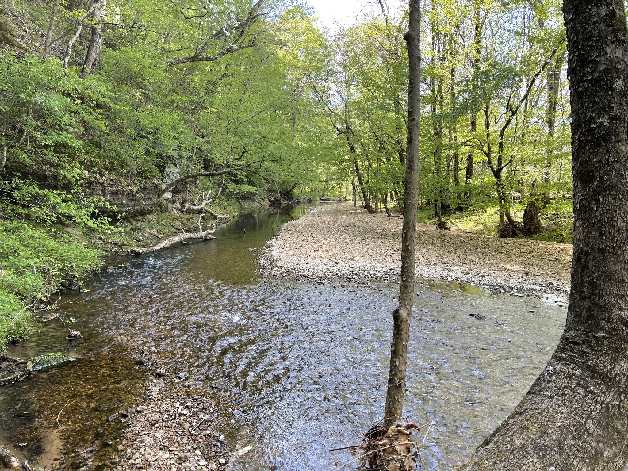 1030 Johnson Hollow Road McEwen, TN 37101 - Photo 80 of 85