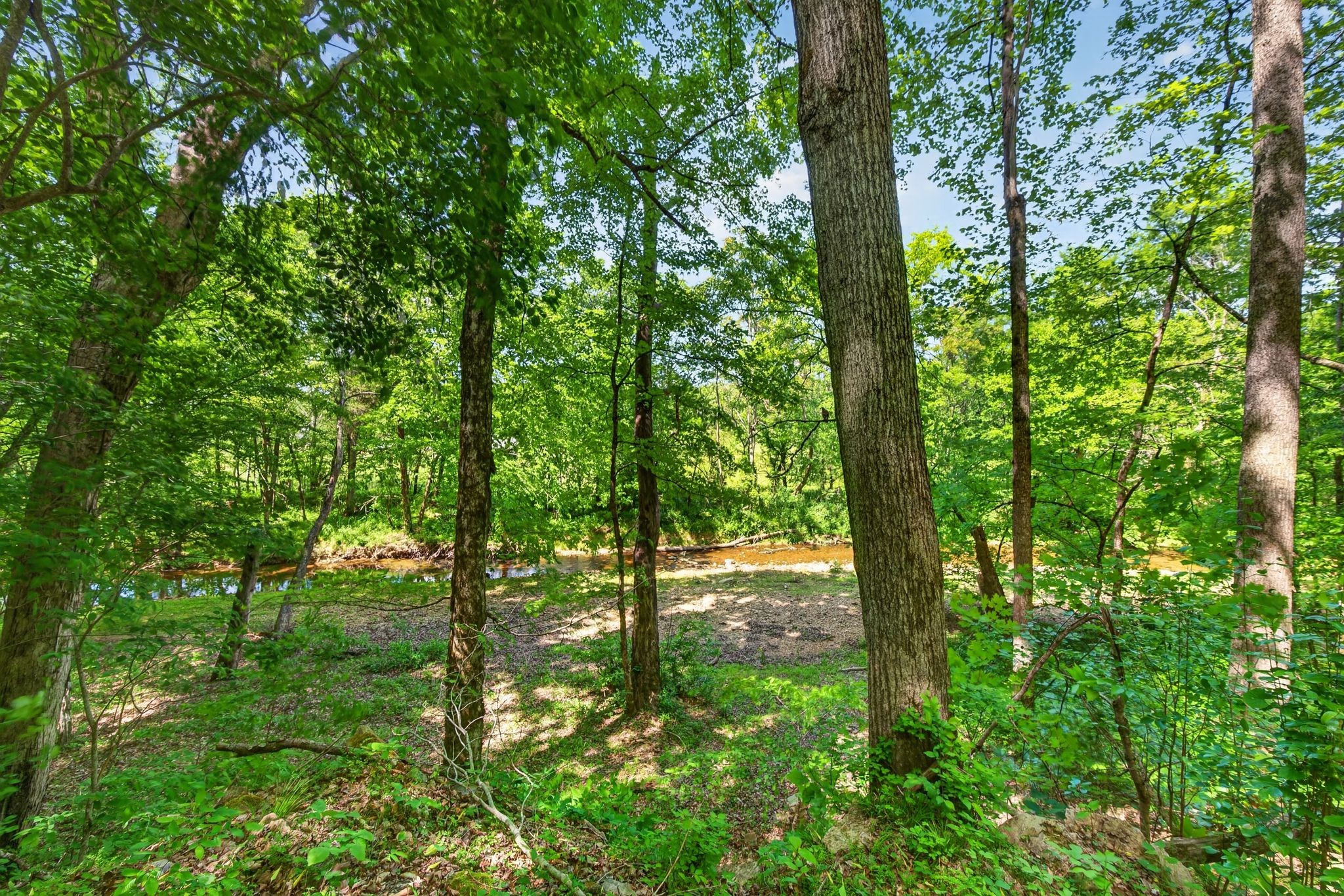 1030 Johnson Hollow Road McEwen, TN 37101 - Photo 82 of 85