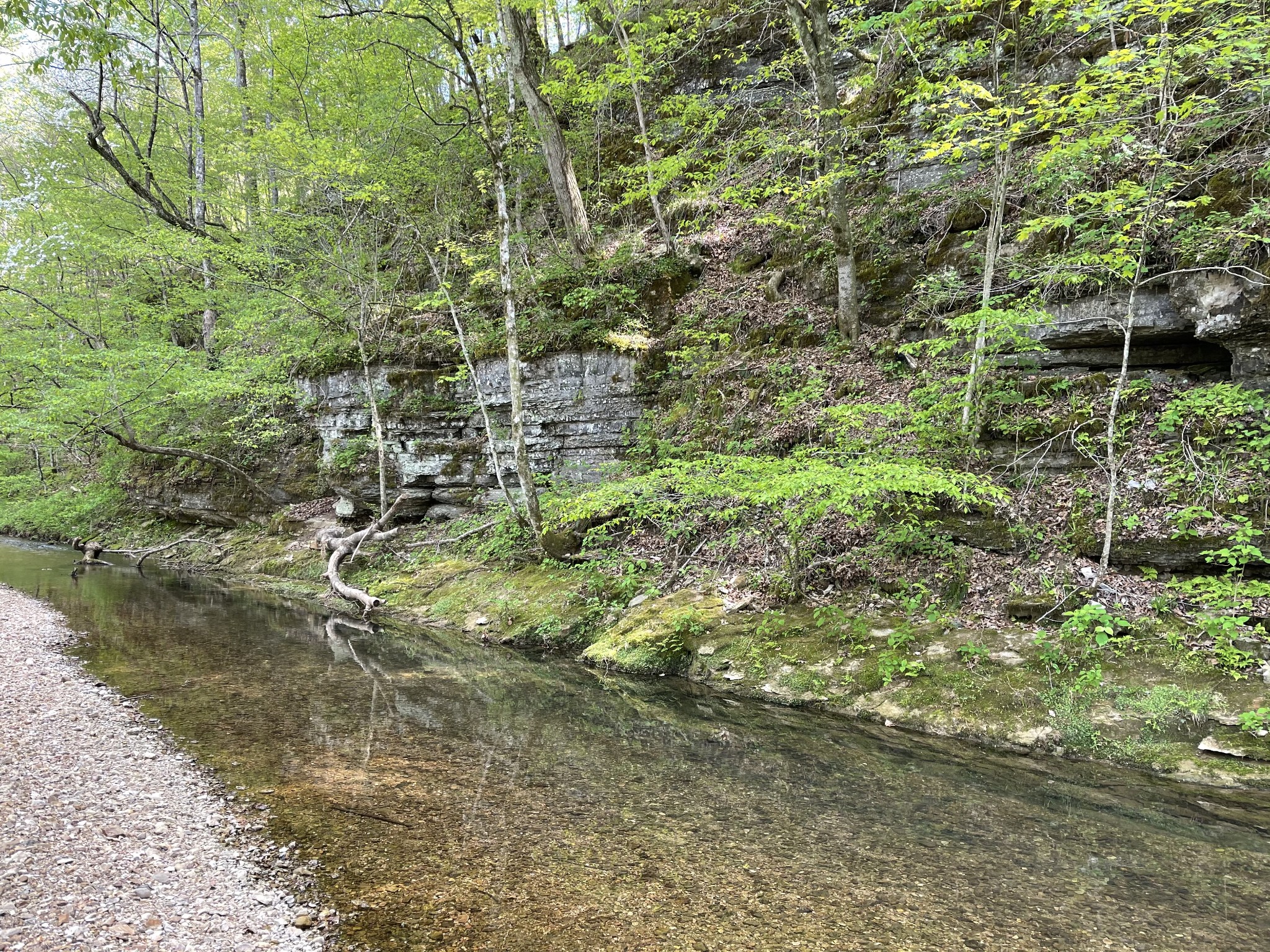1030 Johnson Hollow Road McEwen, TN 37101 - Photo 83 of 85