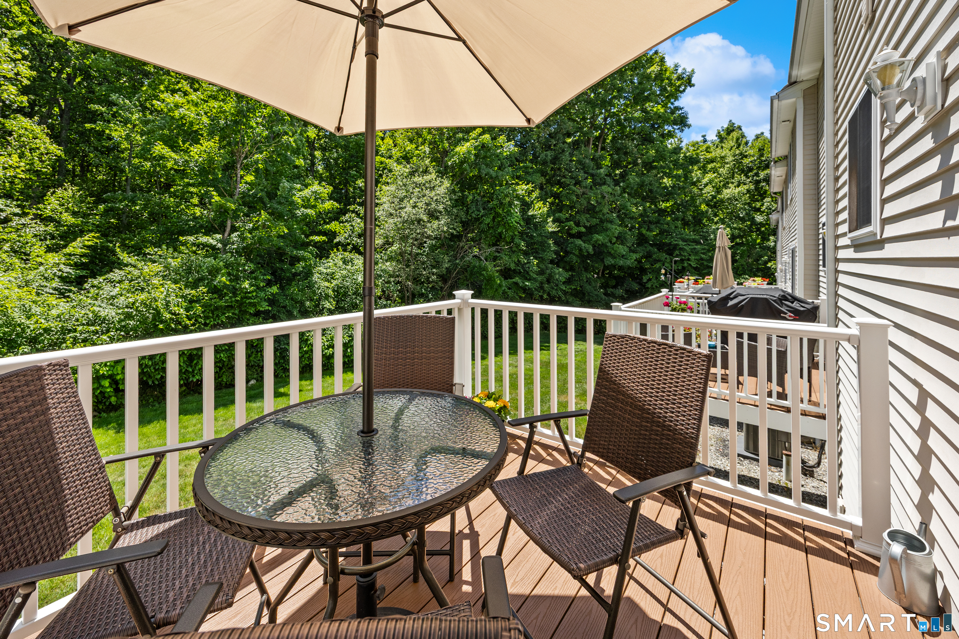 119 Taft Pointe, Unit 3 Waterbury, CT 06708 - Photo 14 of 29 Trek Deck overlooking private wooded area