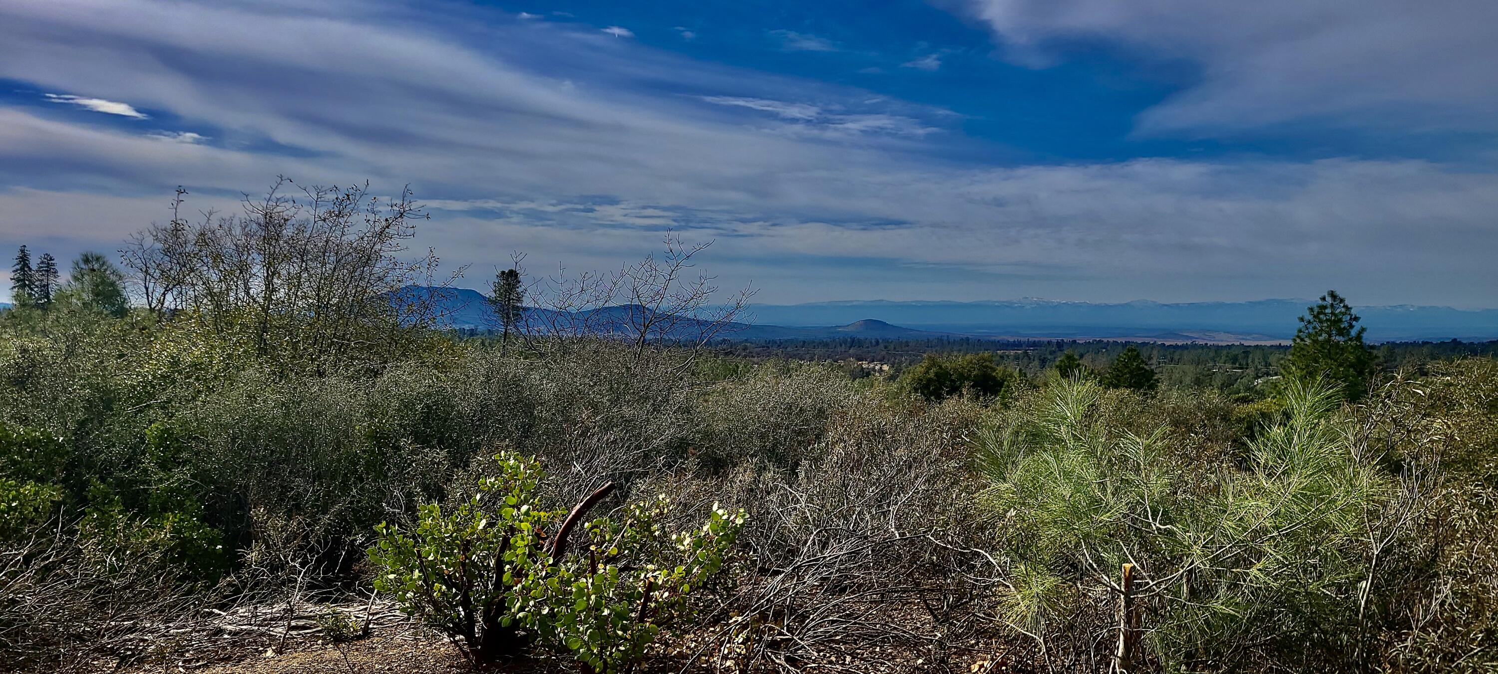 Lot 13 Battle View Manton, CA 96059 - Photo 11 of 19 a view of a back yard