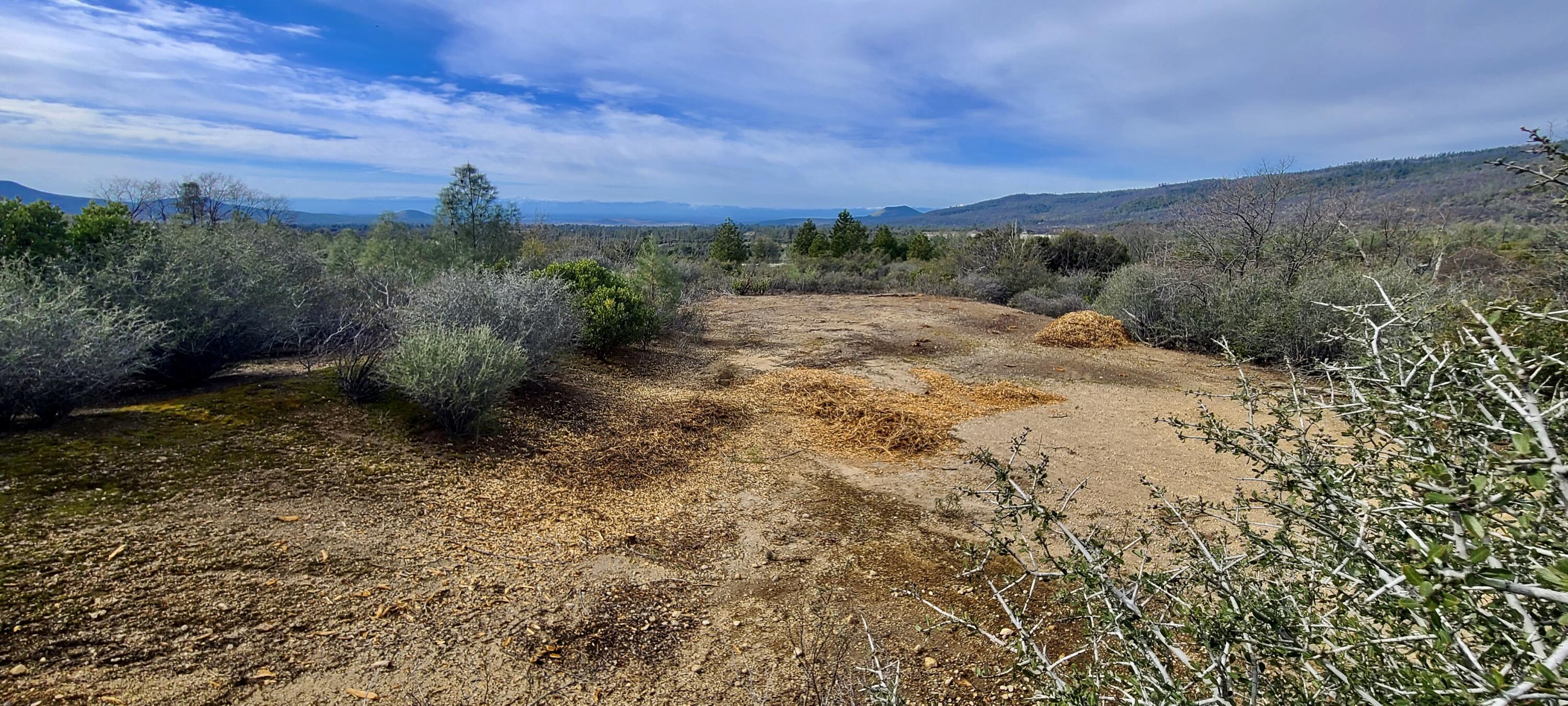 Lot 13 Battle View Manton, CA 96059 - Photo 15 of 19 a view of a big yard with a house