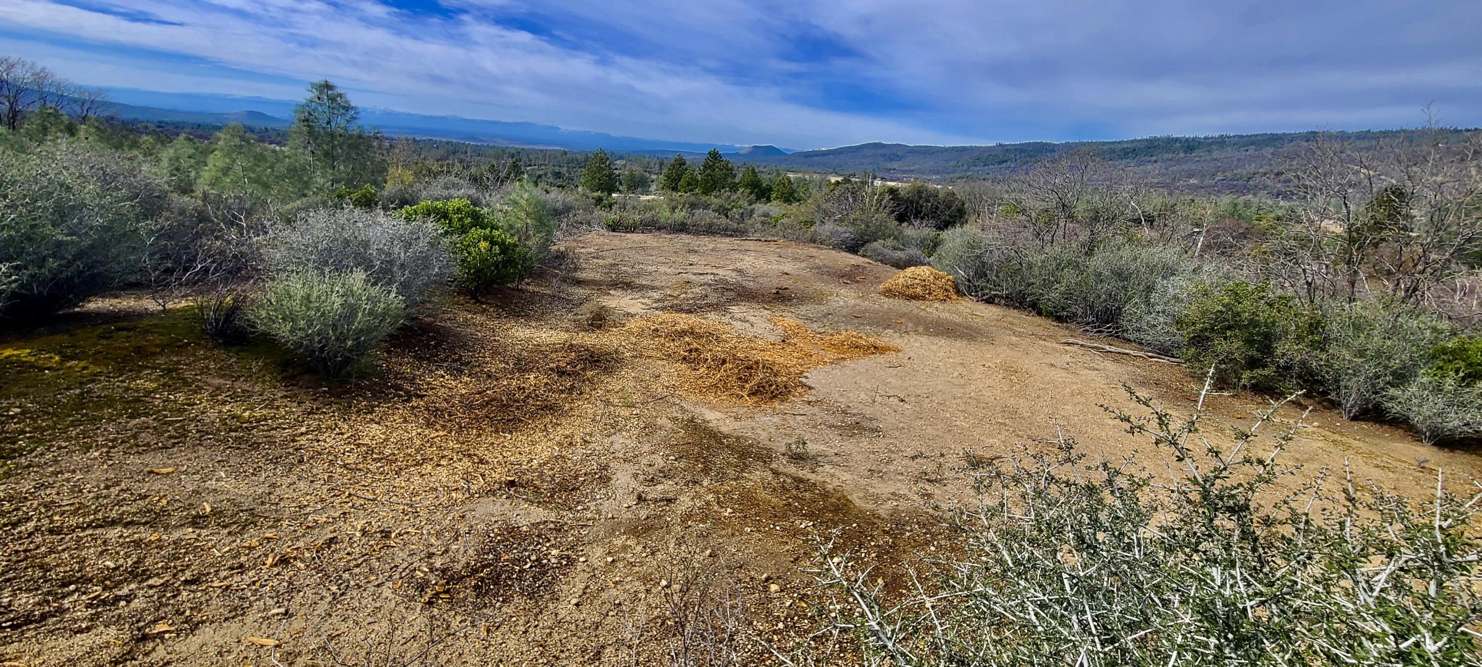Lot 13 Battle View Manton, CA 96059 - Photo 16 of 19 a view of a yard with an outdoor space