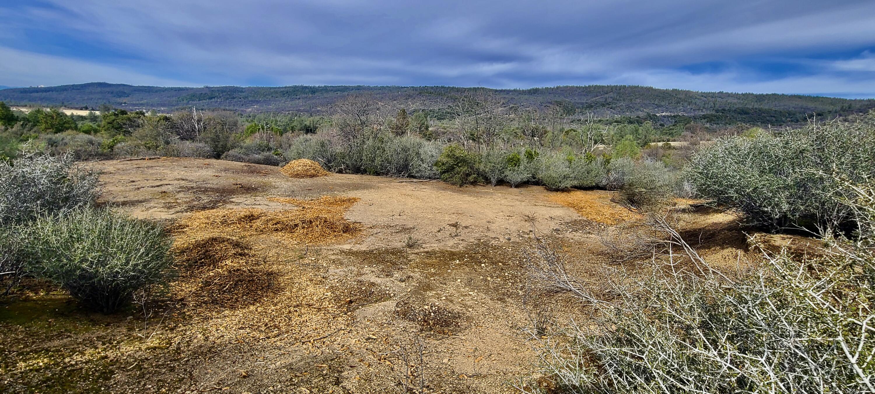 Lot 13 Battle View Manton, CA 96059 - Photo 17 of 19 a view of a yard with an outdoor space