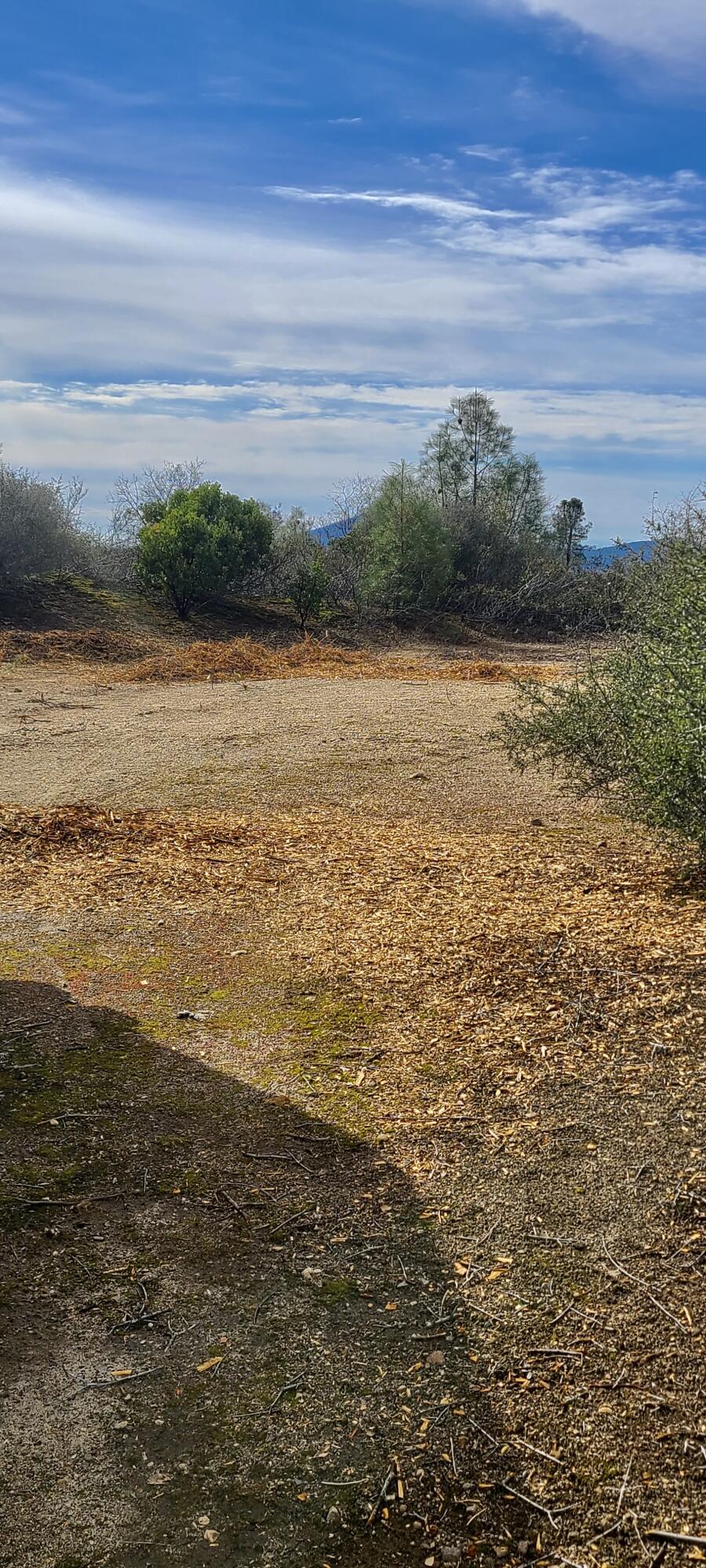 Lot 13 Battle View Manton, CA 96059 - Photo 4 of 19 a view of ocean view