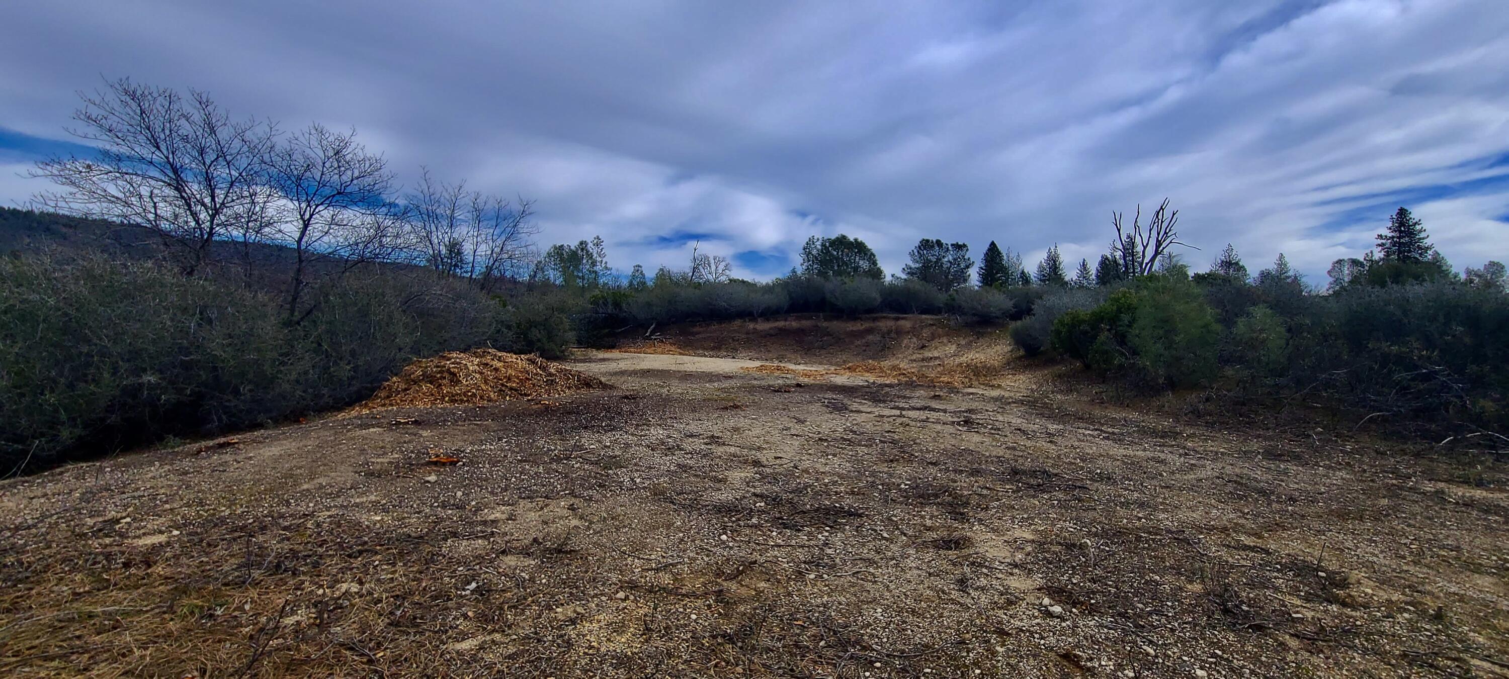 Lot 13 Battle View Manton, CA 96059 - Photo 6 of 19