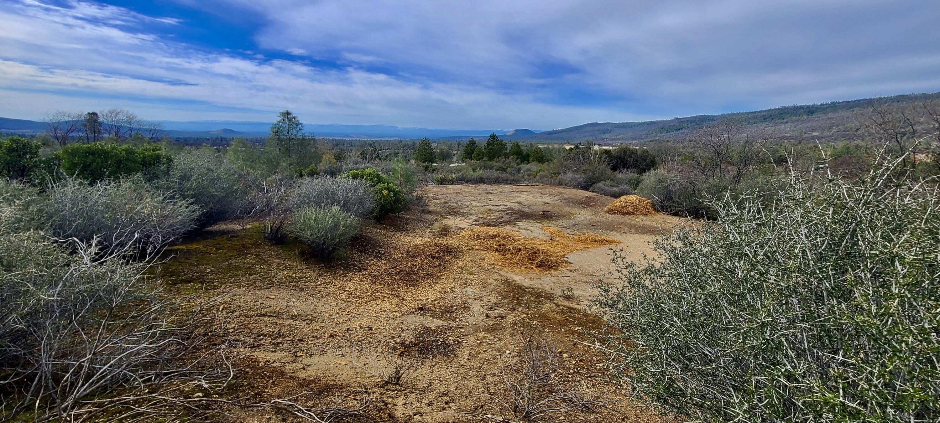 Lot 13 Battle View Manton, CA 96059 - Photo 8 of 19 a view of a yard with an trees