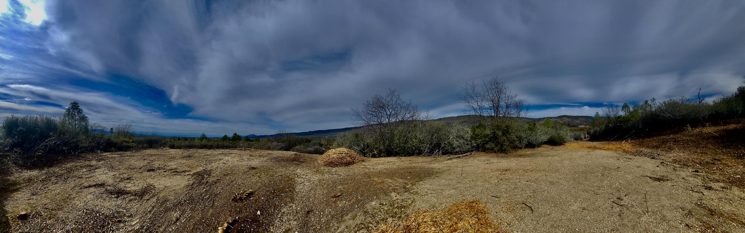 Lot 13 Battle View Manton, CA 96059 - Photo 10 of 19 a view of a yard