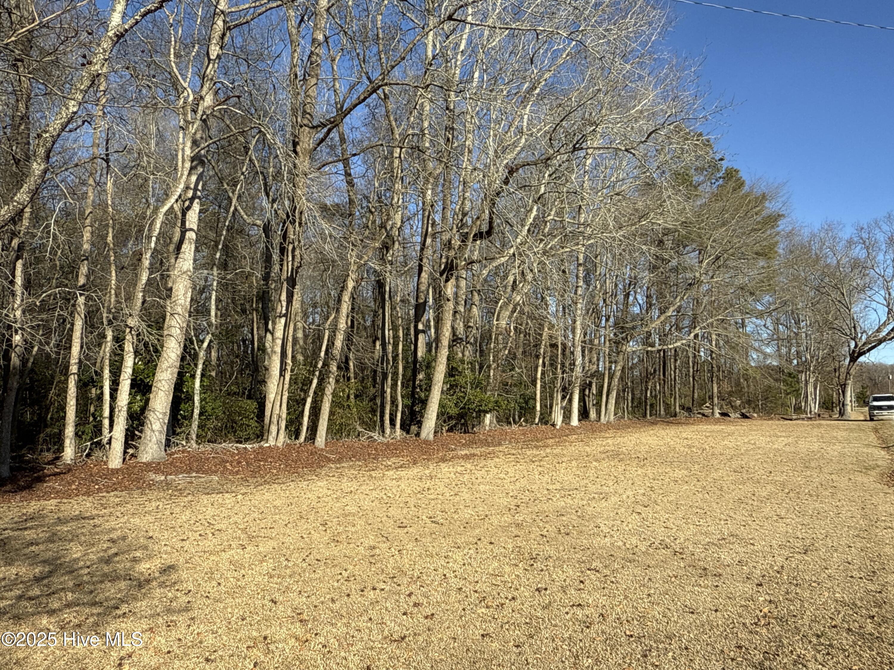 717 Mill Hole Road Washington, NC 27889 - Photo 4 of 10 Wallace Ln