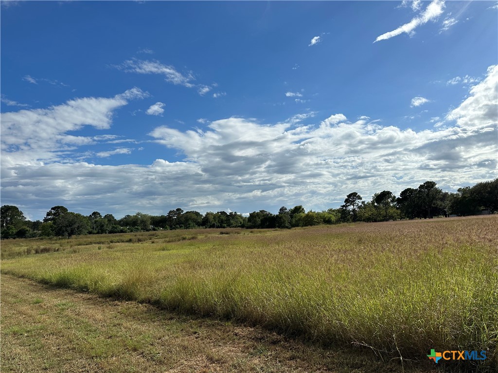 303 Edinburgh Street Victoria, TX 77904 - Photo 3 of 4 a view of a lake with houses in the background