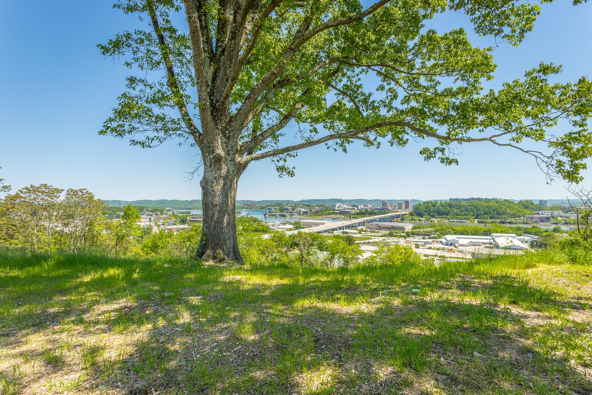 436 Whitehall Road Chattanooga, TN 37405 - Photo 6 of 28