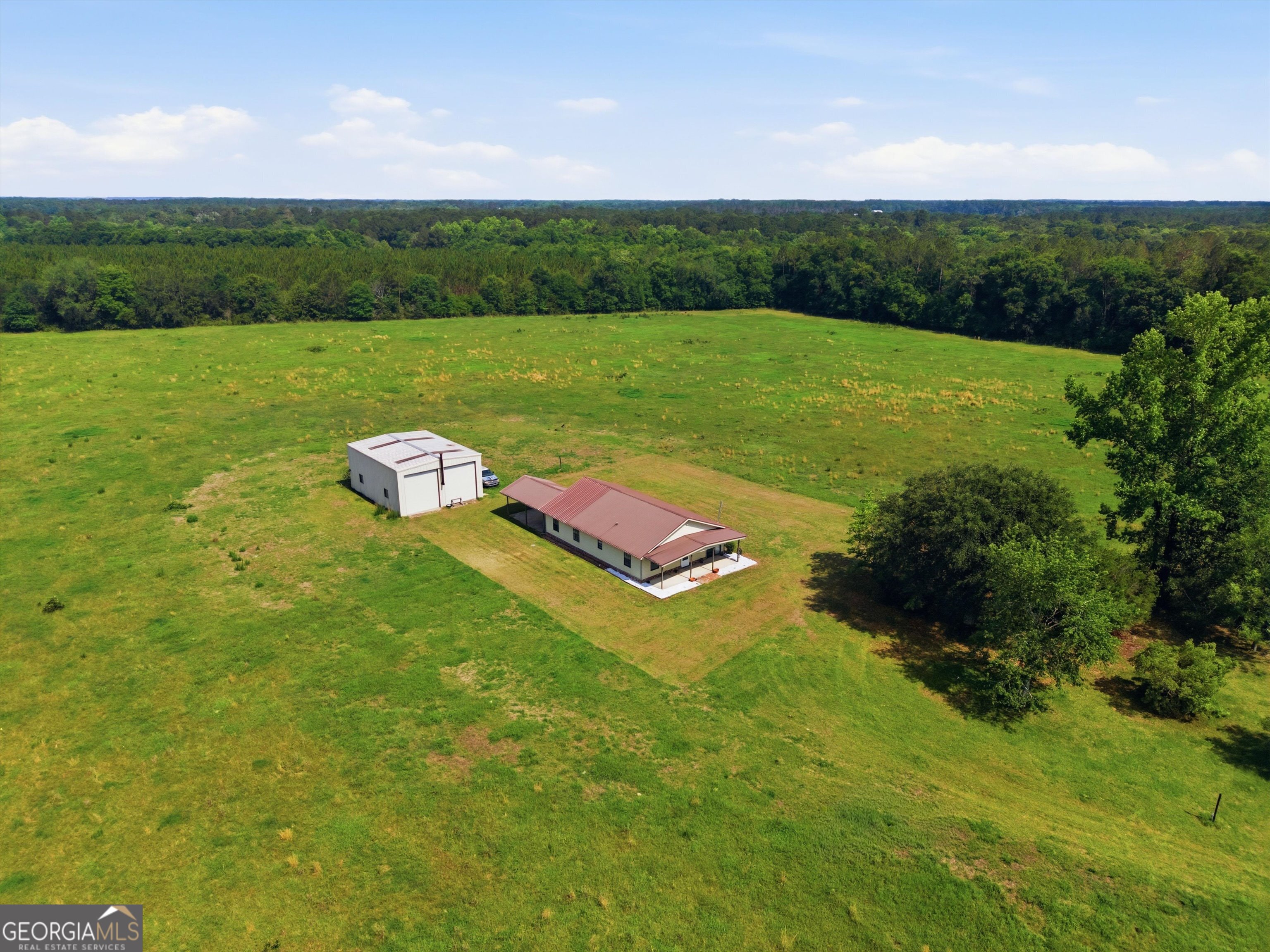 1525 Myron Hart Road Coolidge, GA 31738 - Photo 47 of 58 a view of a grassy field with an trees