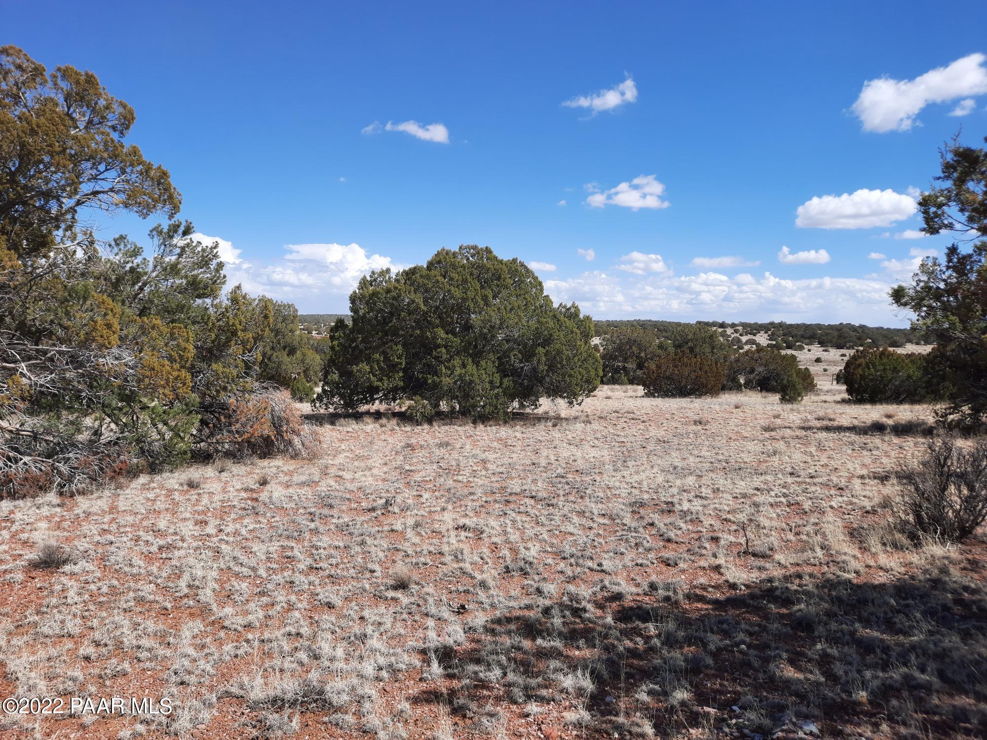 Lot 89 Antelope Valley Ranch Seligman, AZ 86337 - Photo 1 of 13 cover