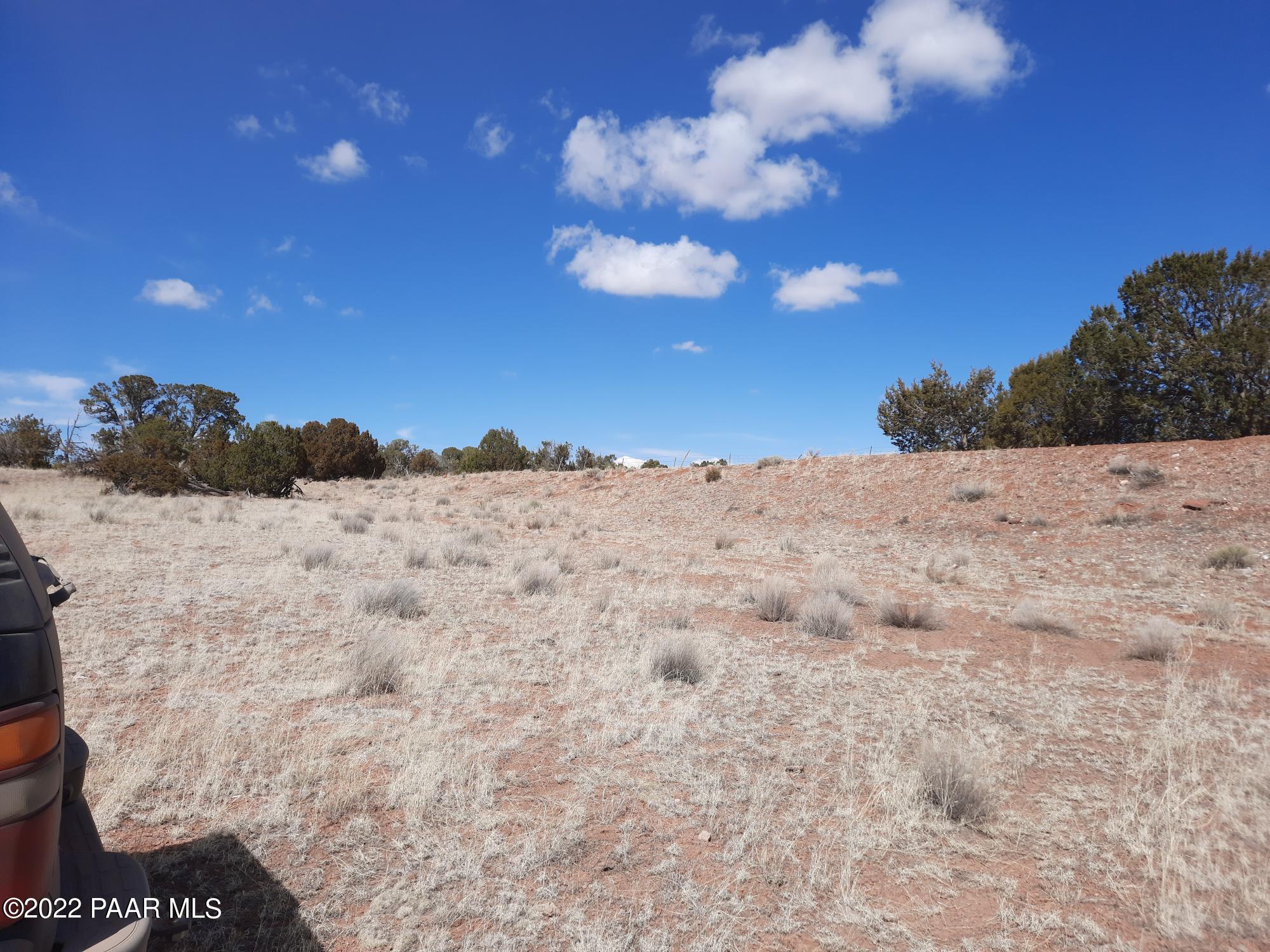 Lot 89 Antelope Valley Ranch Seligman, AZ 86337 - Photo 3 of 13 20220316_134641