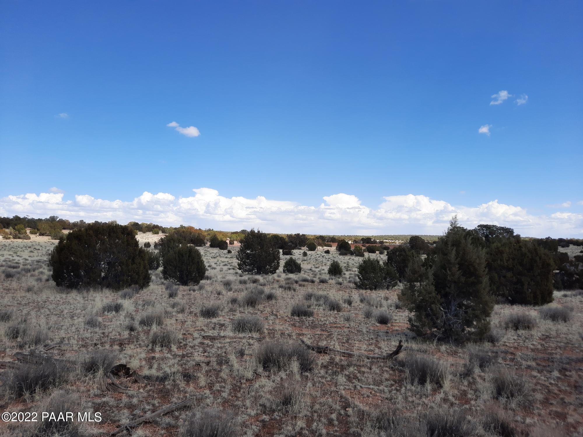 Lot 89 Antelope Valley Ranch Seligman, AZ 86337 - Photo 4 of 13 20220316_133437