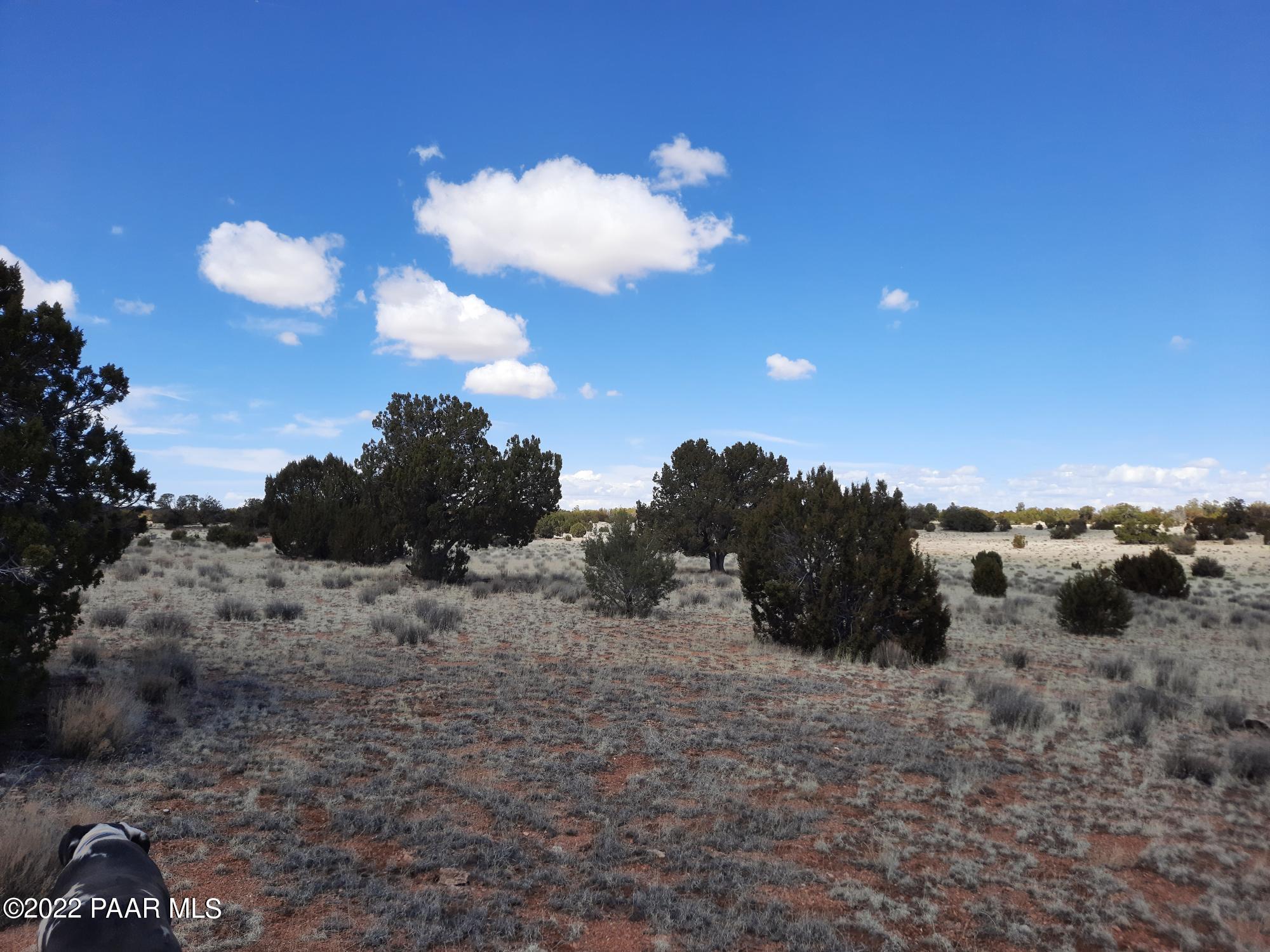 Lot 89 Antelope Valley Ranch Seligman, AZ 86337 - Photo 5 of 13 20220316_133420