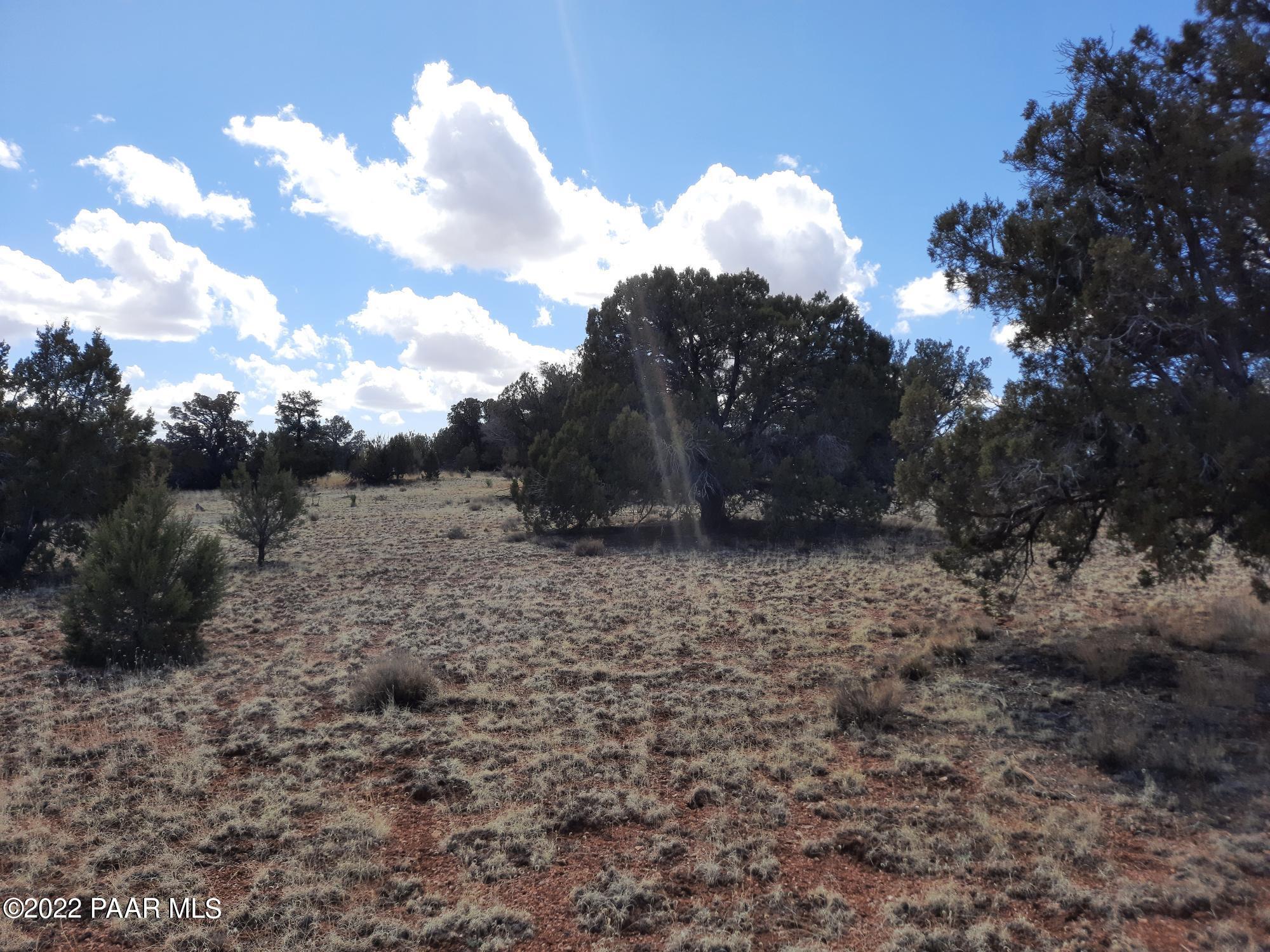 Lot 89 Antelope Valley Ranch Seligman, AZ 86337 - Photo 7 of 13 20220316_133344