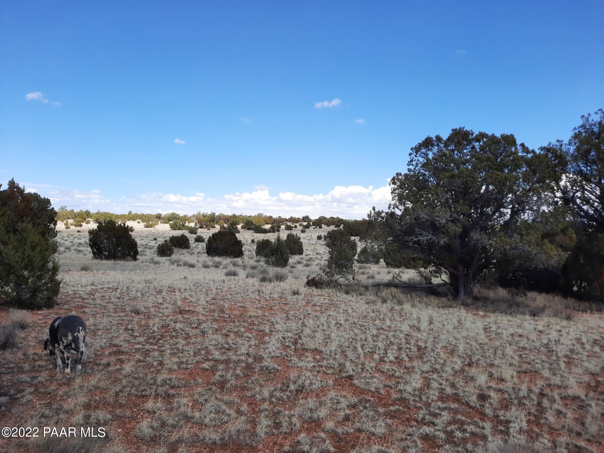 Lot 89 Antelope Valley Ranch Seligman, AZ 86337 - Photo 8 of 13 20220316_133326