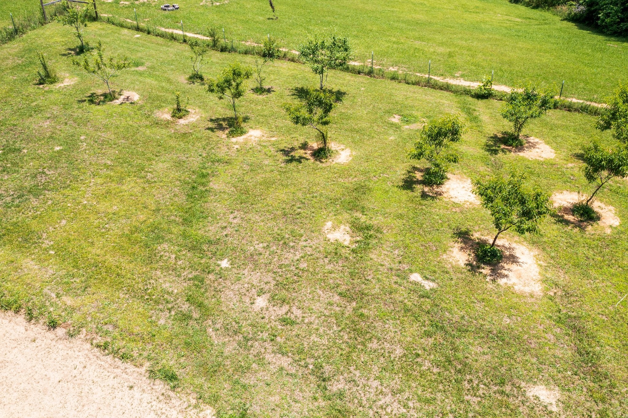 295 Fletcher Road Gruetli Laager, TN 37339 - Photo 38 of 42