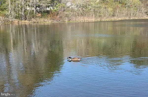 $174,900 | 227 Canal Park Drive, Unit 206, Salisbury, MD 21804