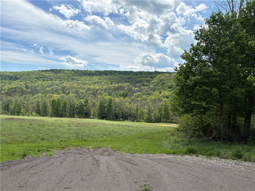 46 County Road Norwich, NY 13815 - Photo 6 of 27