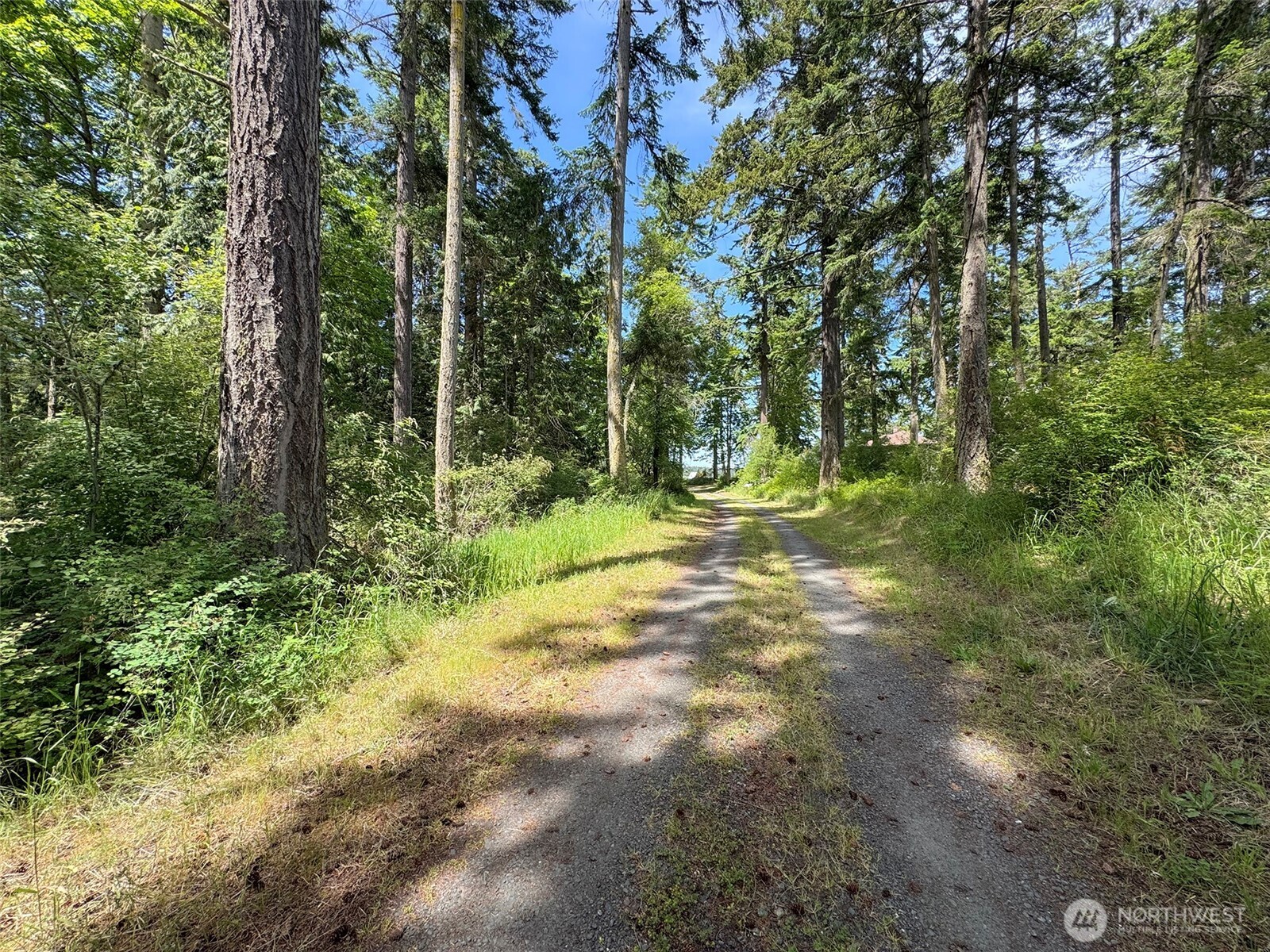 2445 Port Williams Road Sequim, WA 98382 - Photo 21 of 34 Gallery Image 21